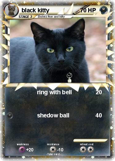 Pokemon black kitty