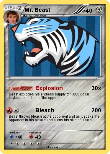 Pokemon Mr. Beast