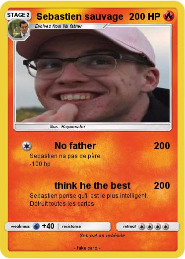 Pokemon Sebastien sauvage