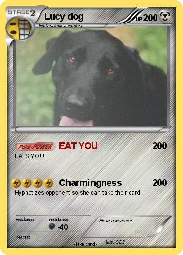 Pokemon Lucy dog