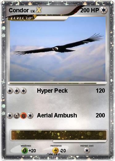 Pokemon Condor