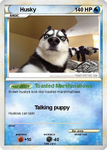 Pokemon Husky