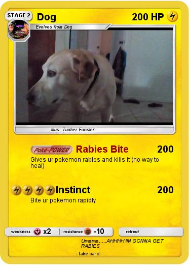 Pokemon Dog