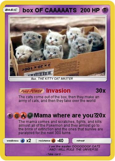 Pokemon box OF CAAAAATS