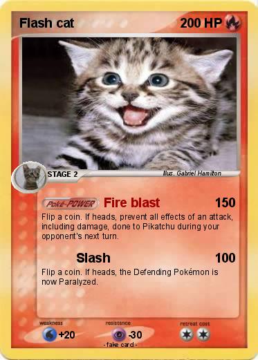 Pokemon Flash cat