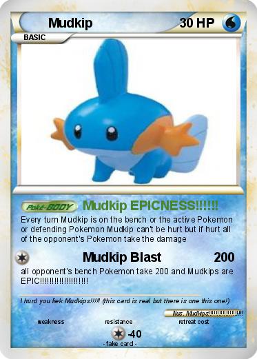 Pokemon Mudkip