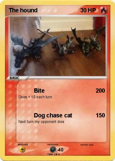 Pokemon The hound