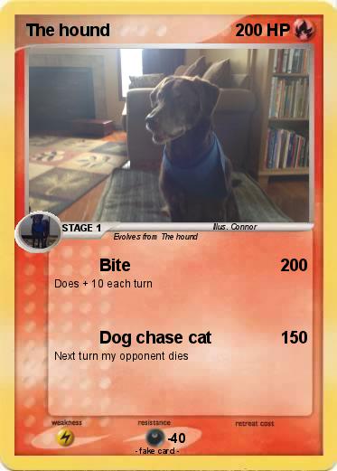 Pokemon The hound