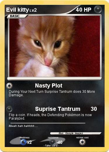 Pokemon Evil kitty