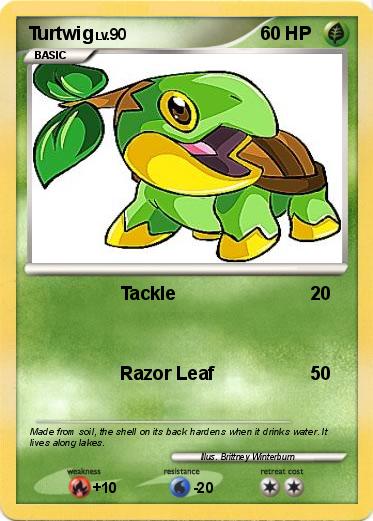Pokemon Turtwig