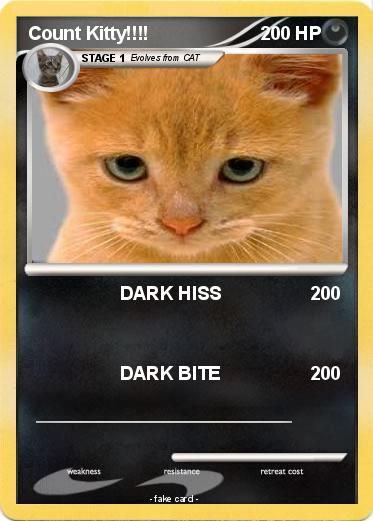 Pokemon Count Kitty!!!!