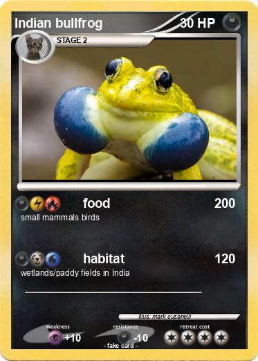 Pokemon Indian bullfrog