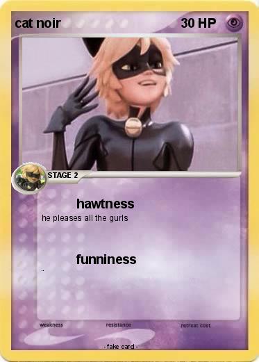 Pokemon cat noir