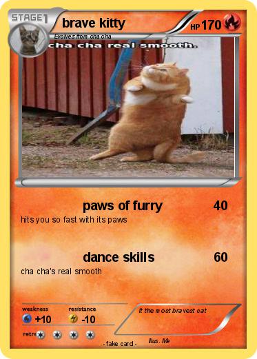 Pokemon brave kitty