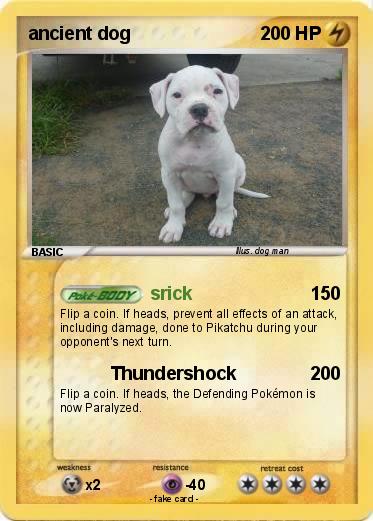 Pokemon ancient dog