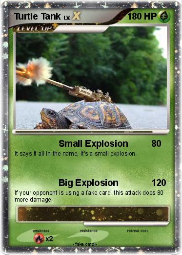 Pokemon Turtle Tank