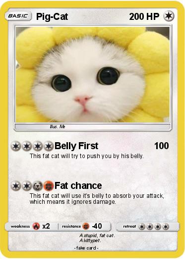 Pokemon Pig-Cat