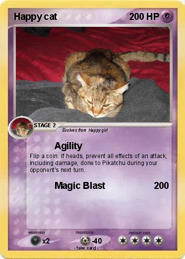 Pokemon Happy cat