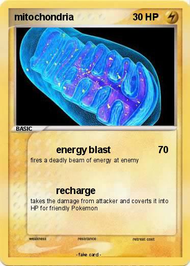 Pokemon mitochondria