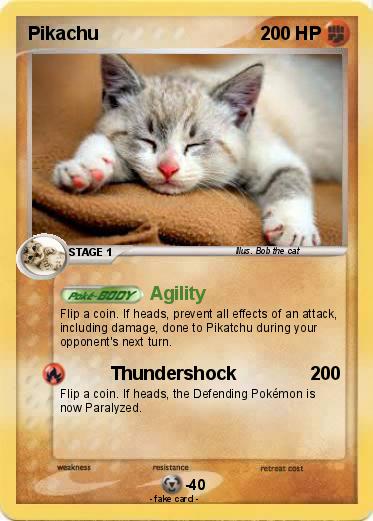 Pokemon Cute Cat