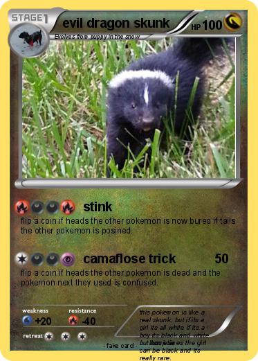 Pokemon evil dragon skunk