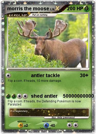 Pokemon morris the moose