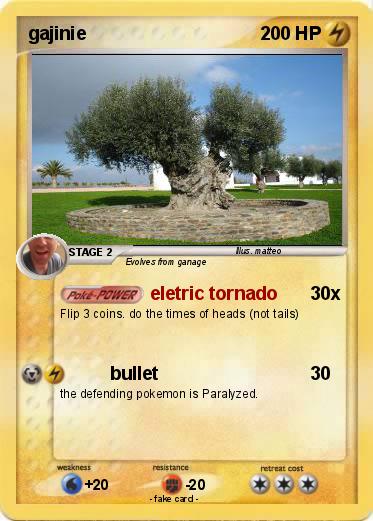 Pokemon gajinie