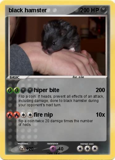 Pokemon black hamster