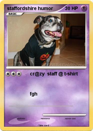 Pokemon staffordshire humor