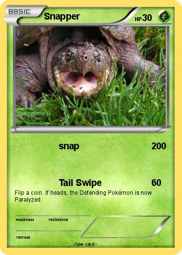 Pokemon Snapper