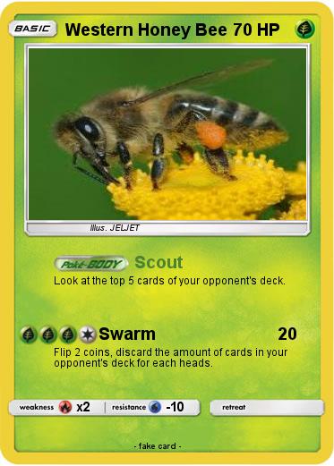 Pokemon Western Honey Bee