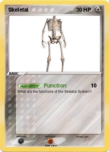 Pokemon Skeletal