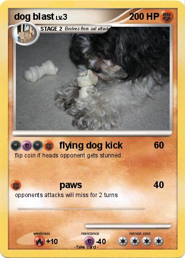Pokemon dog blast