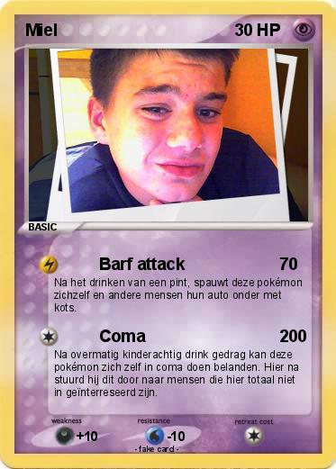 Pokemon Miel