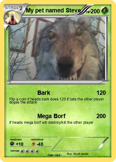 Pokemon My pet named Steve