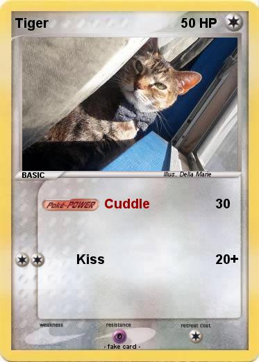 Pokemon Tiger