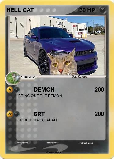 Pokemon HELL CAT