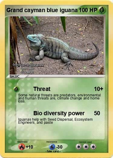 Pokemon Grand cayman blue iguana