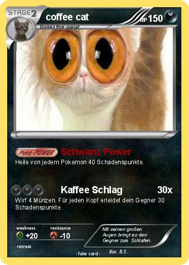 Pokemon coffee cat
