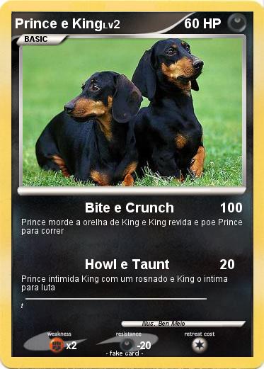 Pokemon Prince e King