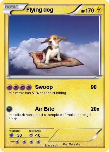 Pokemon Flying dog