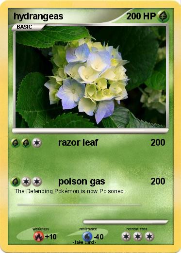 Pokemon hydrangeas