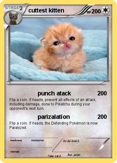 Pokemon cuttest kitten