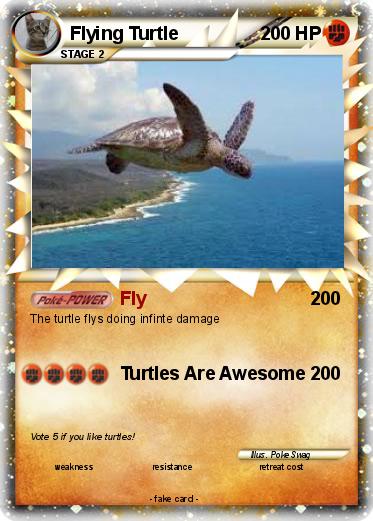Pokemon Flying Turtle