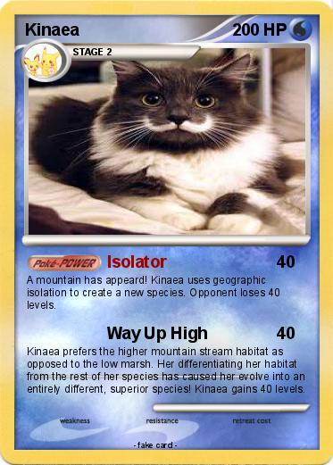 Pokemon Kinaea