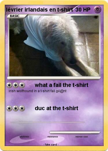 Pokemon lévrier irlandais en t-shirt