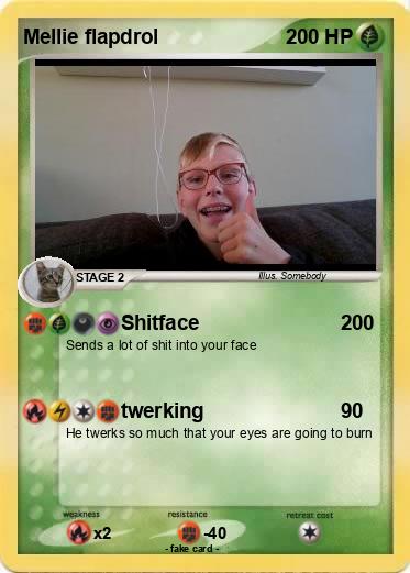 Pokemon Mellie flapdrol