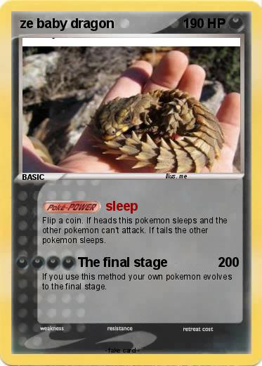 Pokemon ze baby dragon