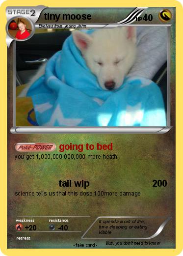 Pokemon tiny moose