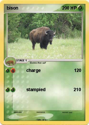 Pokemon bison